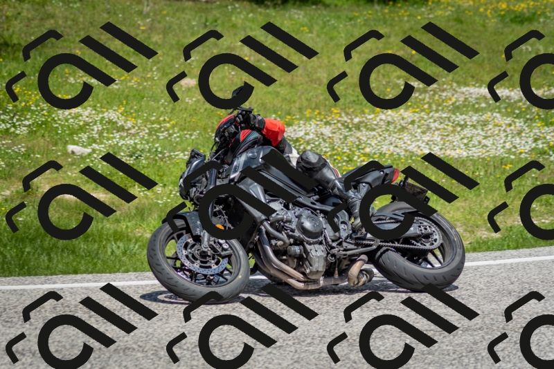 202505181212-DSC_9533_c2