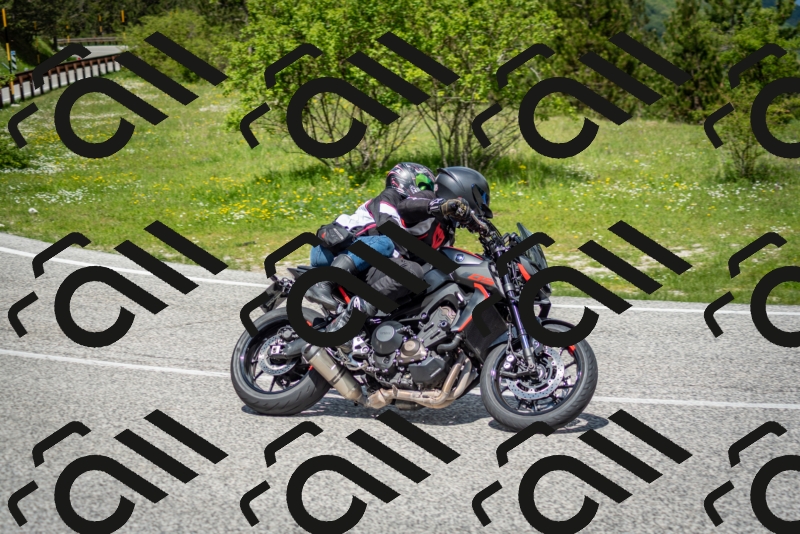 202505181212-DSC_9541_c2