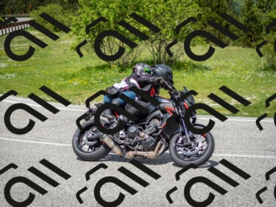 202505181212-DSC_9541_c2