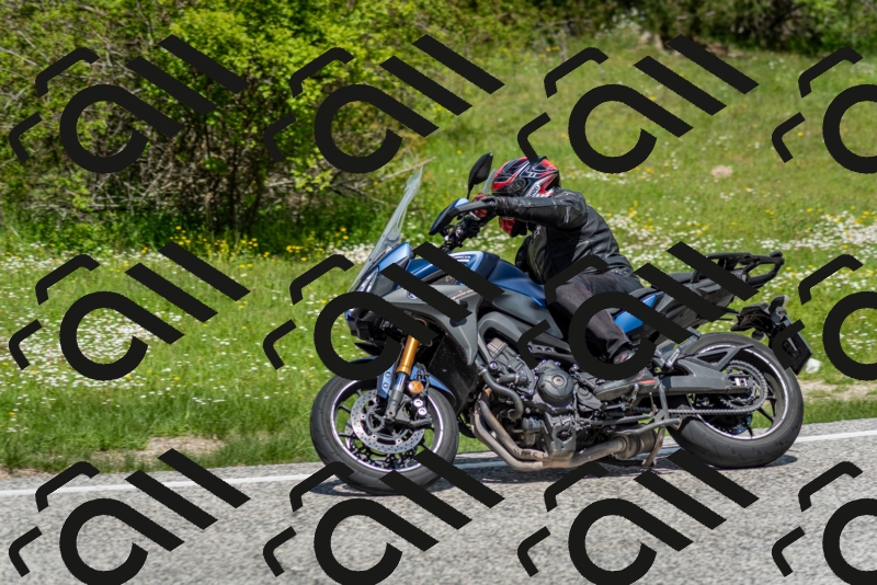 202505181212-DSC_9553_c2