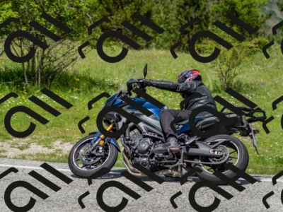 202505181212-DSC_9554_c2