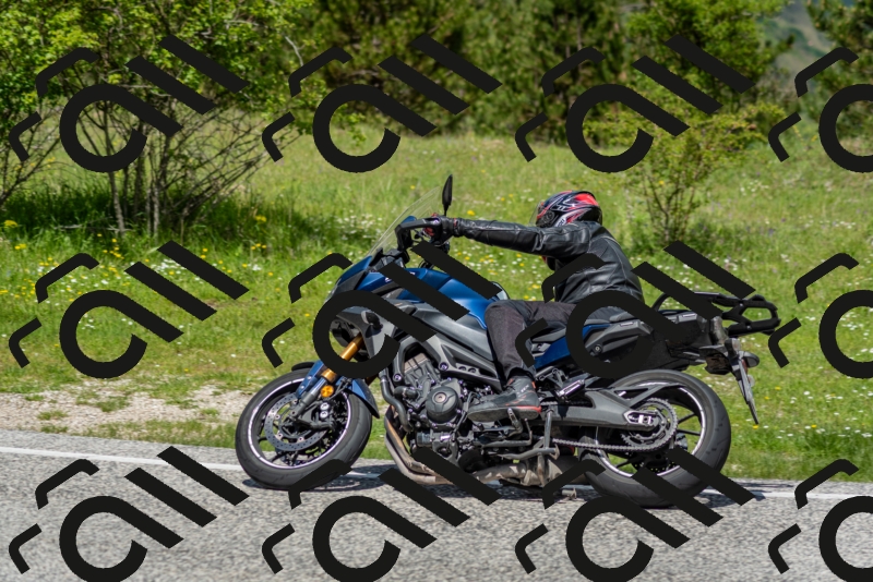 202505181212-DSC_9554_c2