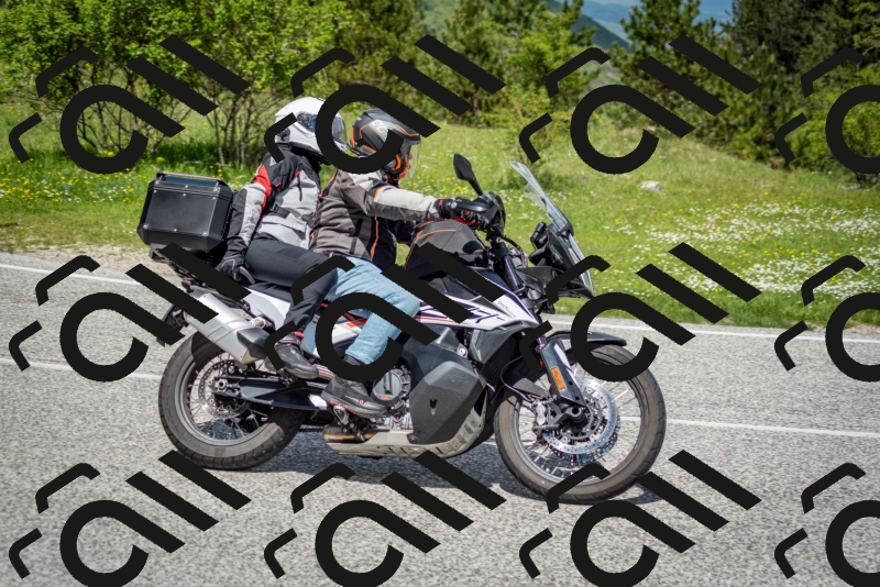 202505181212-DSC_9564_c2