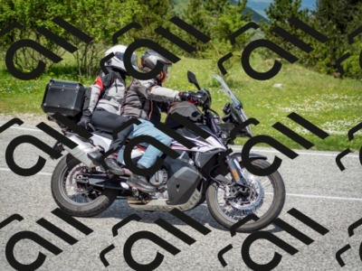 202505181212-DSC_9564_c2