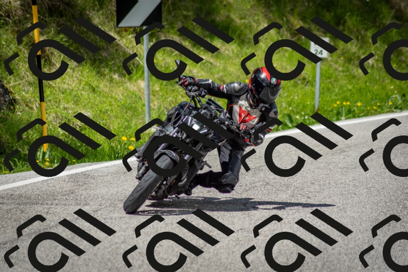 202505181213-DSC_9565_c2