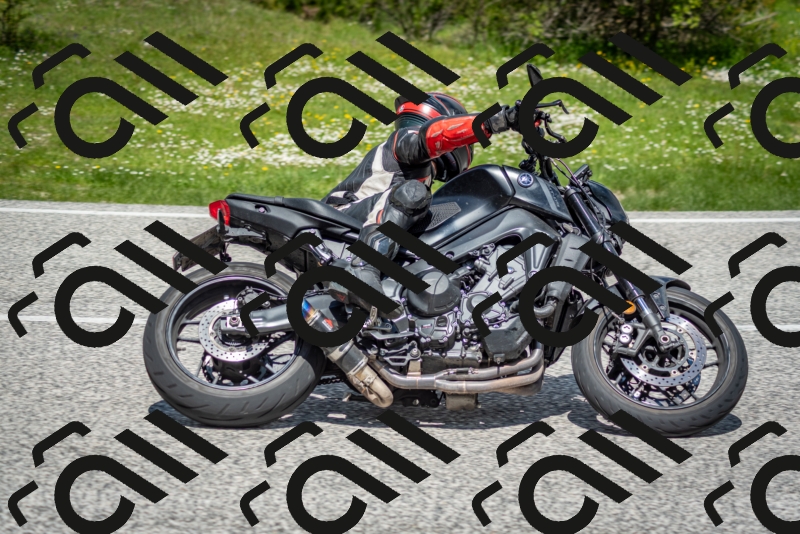 202505181213-DSC_9567_c2