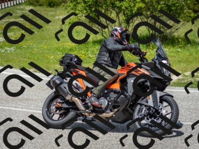 202505181213-DSC_9569_c2