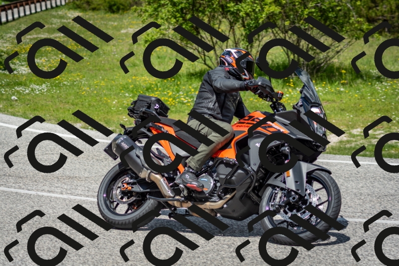 202505181213-DSC_9569_c2