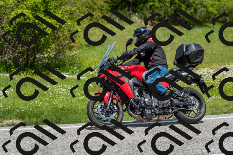 202505181213-DSC_9573_c2