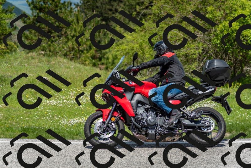 202505181213-DSC_9574_c2