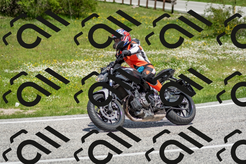 202505181213-DSC_9575_c2