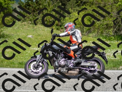 202505181213-DSC_9576_c2