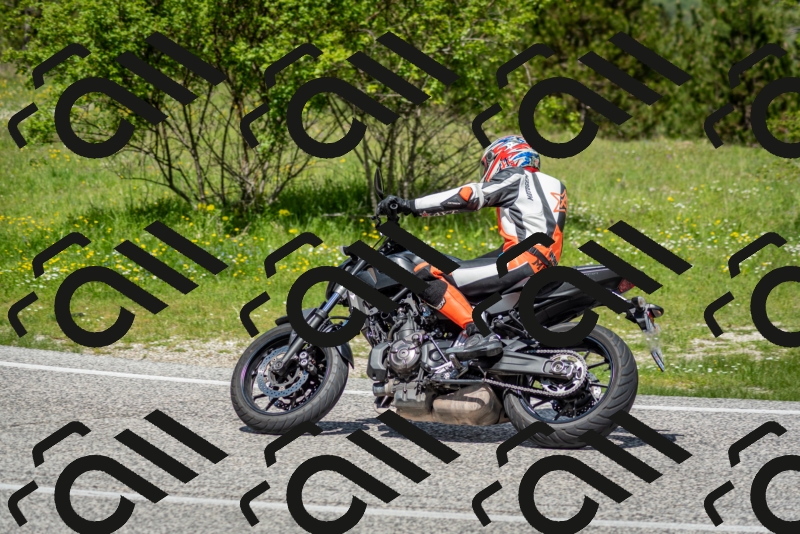 202505181213-DSC_9577_c2