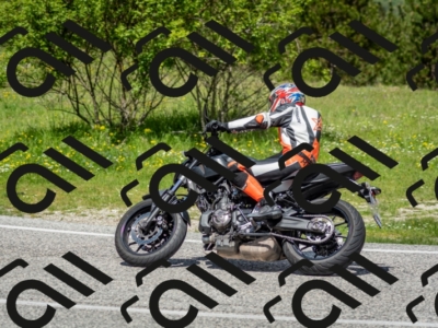 202505181213-DSC_9577_c2