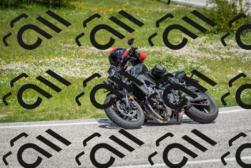 202505181213-DSC_9580_c2