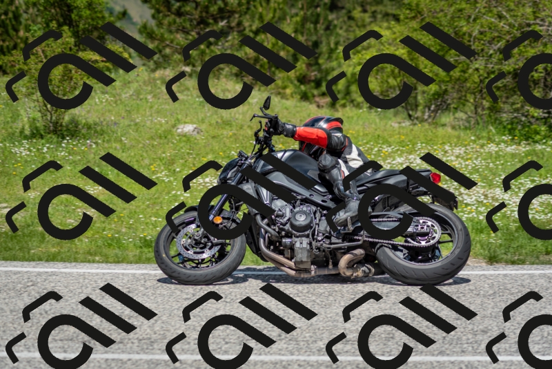 202505181213-DSC_9581_c2