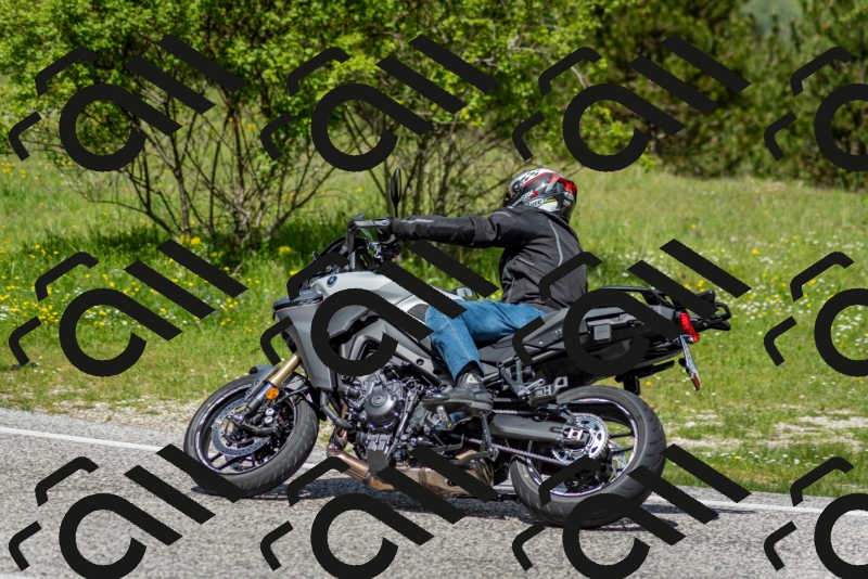 202505181213-DSC_9585_c2