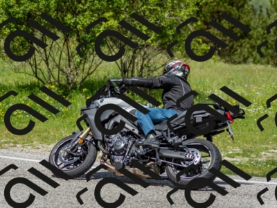 202505181213-DSC_9585_c2