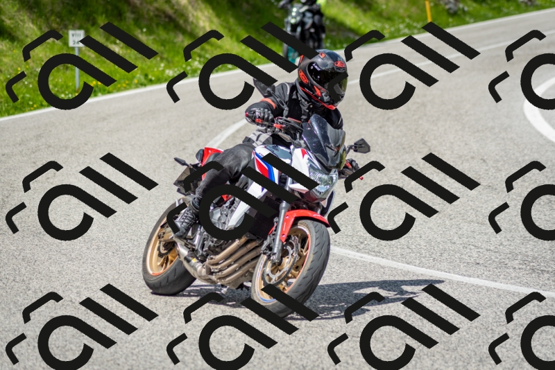 202505181215-DSC_9596_c2