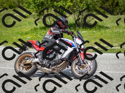 202505181215-DSC_9597_c2