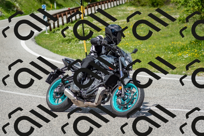 202505181215-DSC_9599_c2