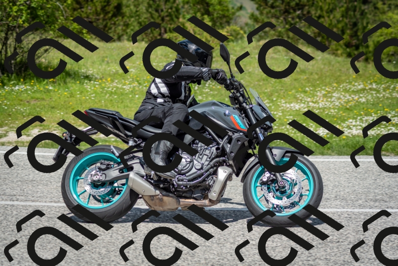 202505181215-DSC_9600_c2