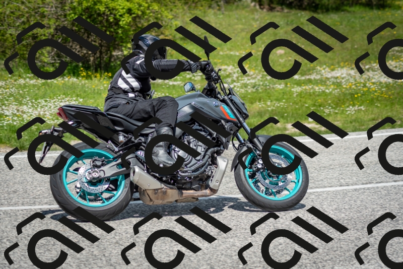 202505181215-DSC_9601_c2