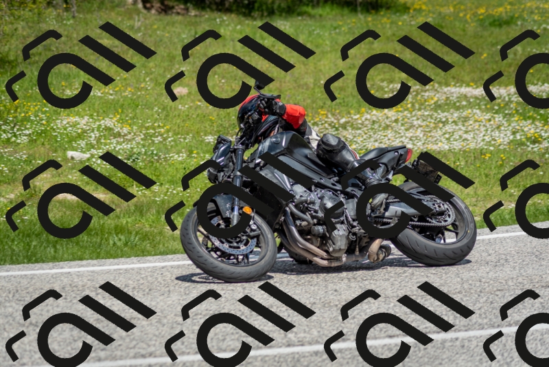 202505181215-DSC_9603_c2