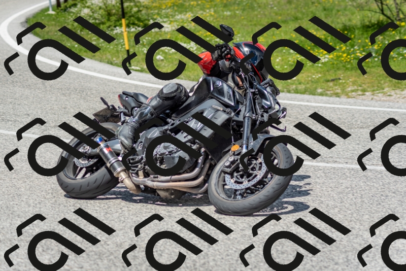 202505181216-DSC_9611_c2