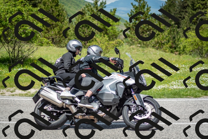 202505181216-DSC_9627_c2