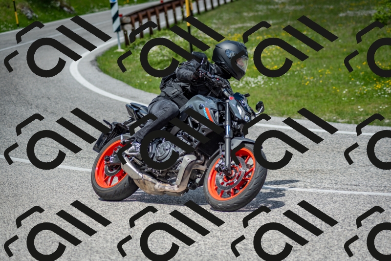 202505181217-DSC_9637_c2