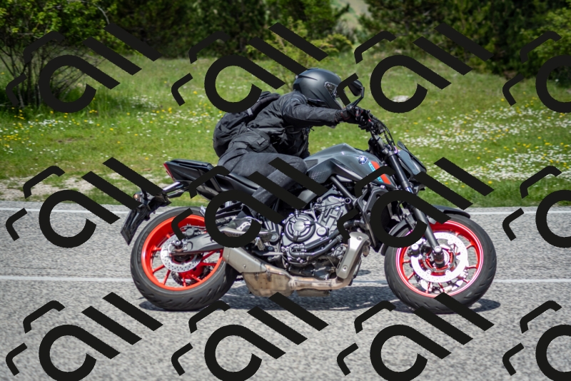 202505181217-DSC_9638_c2