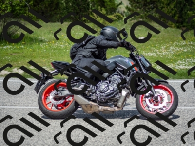 202505181217-DSC_9638_c2