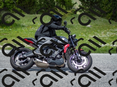 202505181217-DSC_9640_c2