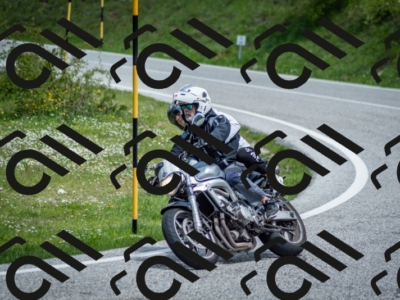 202505181217-DSC_9648_c2