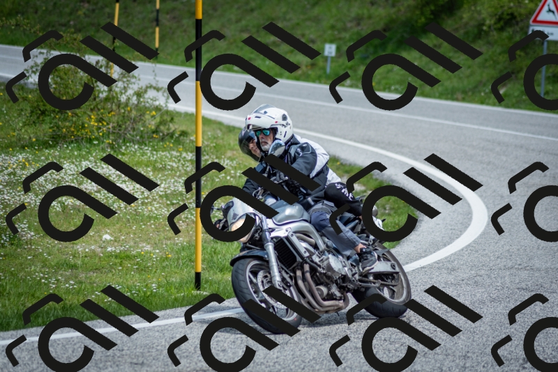 202505181217-DSC_9648_c2