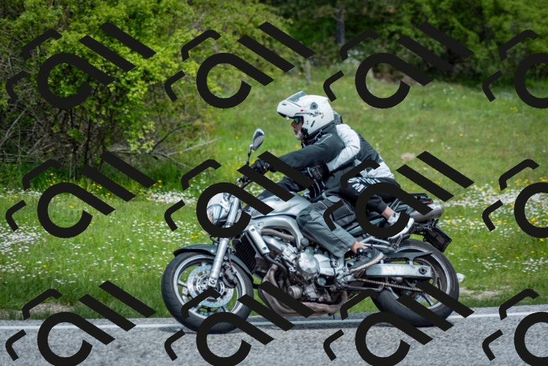 202505181217-DSC_9649_c2