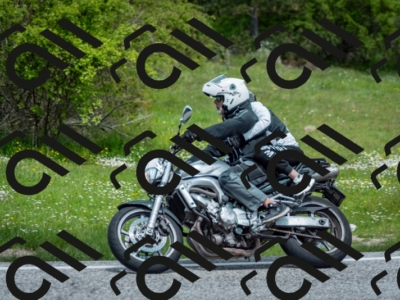 202505181217-DSC_9649_c2