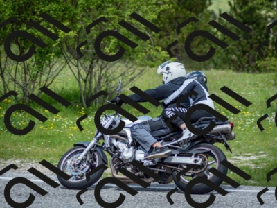 202505181217-DSC_9650_c2