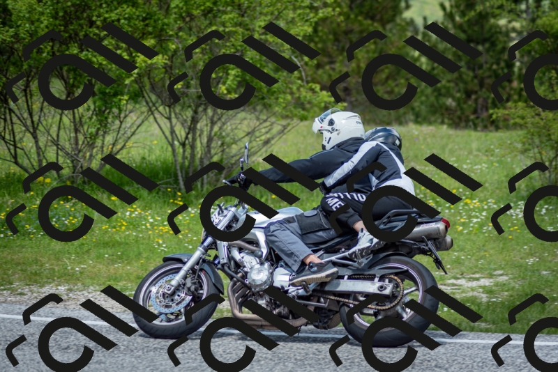 202505181217-DSC_9650_c2