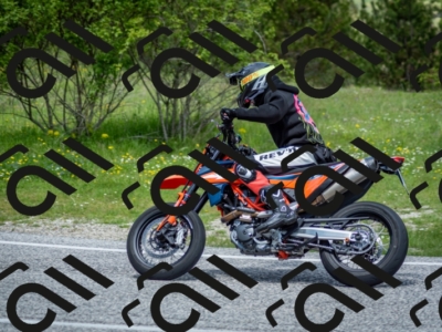 202505181217-DSC_9653_c2