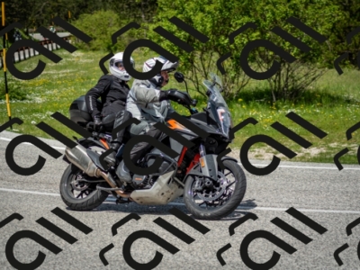 202505181218-DSC_9655_c2