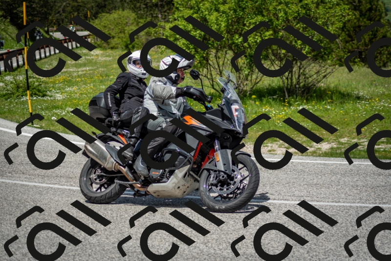 202505181218-DSC_9655_c2