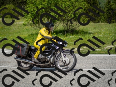 202505181218-DSC_9657_c2