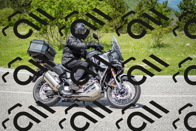 202505181218-DSC_9659_c2