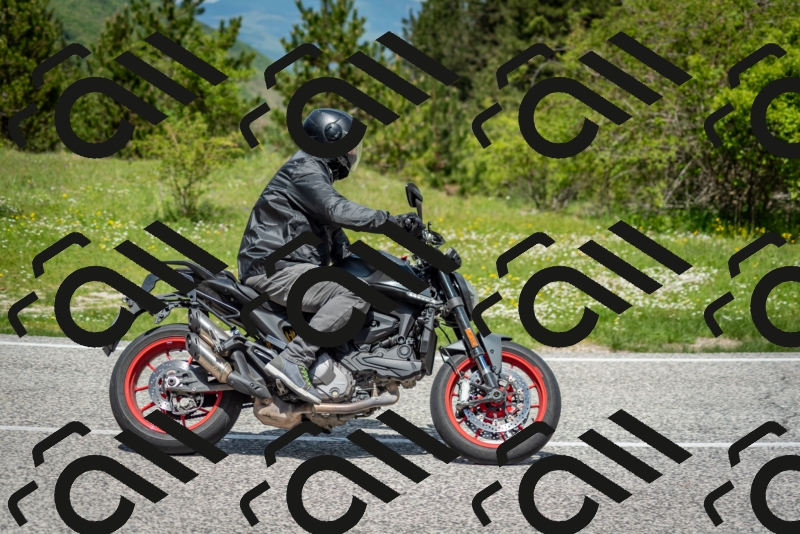 202505181218-DSC_9667_c2