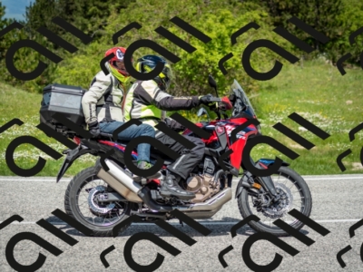 202505181218-DSC_9669_c2