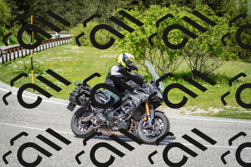 202505181218-DSC_9670_c2