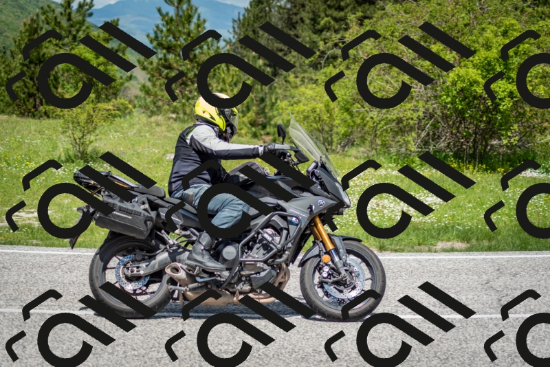 202505181218-DSC_9671_c2