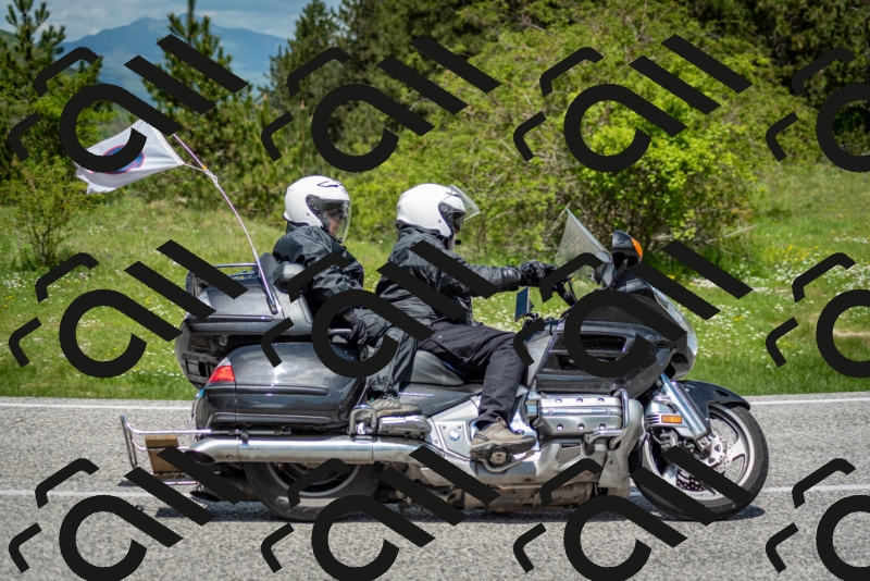 202505181218-DSC_9679_c2